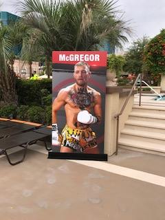boxer banner stands
